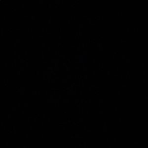 Meet your Posher, Rolanda